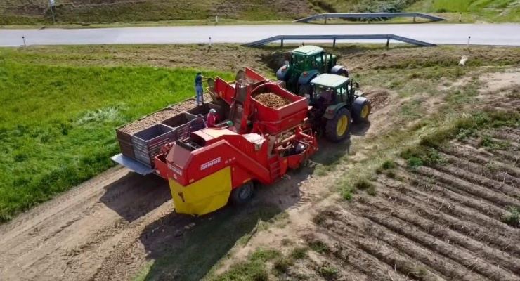 Traktor mit rotem Erdäpfelroder bei der Ernte