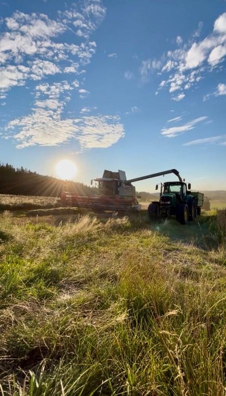 Ernte am Feld der Familie Schrenk im Abendlicht